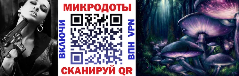 Галлюциногенные грибы Psilocybine cubensis  магазин продажи наркотиков  кракен ссылки  Ардатов 